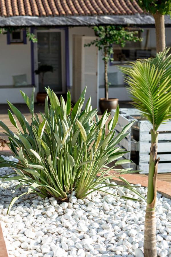 Finca De L'Angles. Levante Potries Luaran gambar
